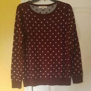 Ann Taylor Loft sweater